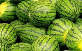 吃瓜网免费官网