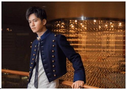 将军在娱乐圈,传奇人生的新篇章