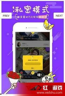 韩国bj女主播柳智慧,韩国Bj女主播的崛起与影响力